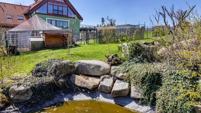 Zoo v Táboře získala chráněné želvy uhlířské. Staví se pro ně želvárium, dožívají se 100 let