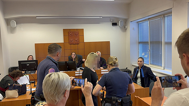 Bez dětí 15 let nezvládnu, zoufá si nad trestem žena. Dvakrát zkusila zabít manžela