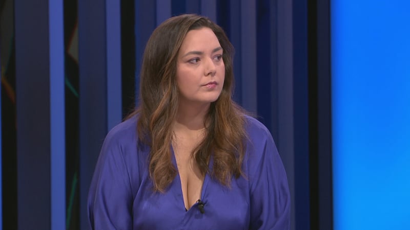 Rozpočet je otesánek. Neměli jsme koule na změnu, tepe koaliční ODS poslankyně STAN