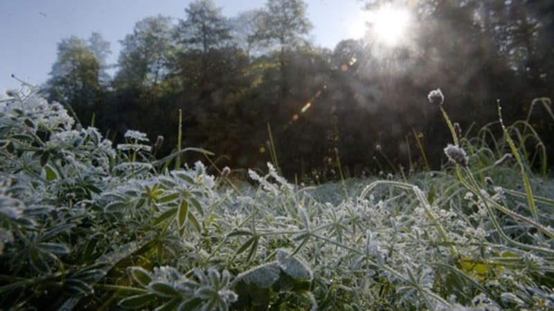 Připravte si zimní čepice. Mráz přichází z východu, varují meteorologové