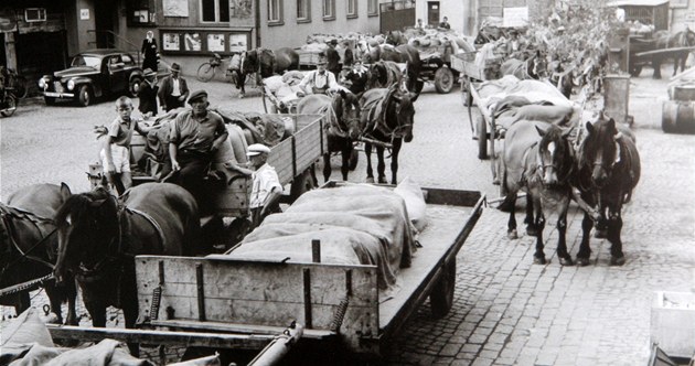 Žně na Moravě se před 100 lety protáhly až do svatého Václava