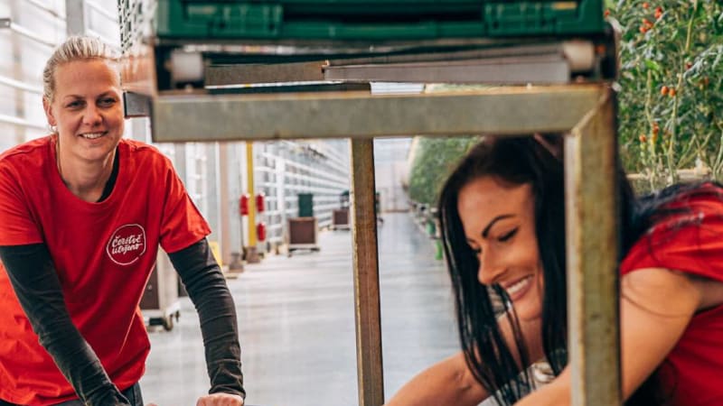 Čerstvě utrženo z Hané: zelenina rovnou na stůl, která chutná jako ze zahrádky