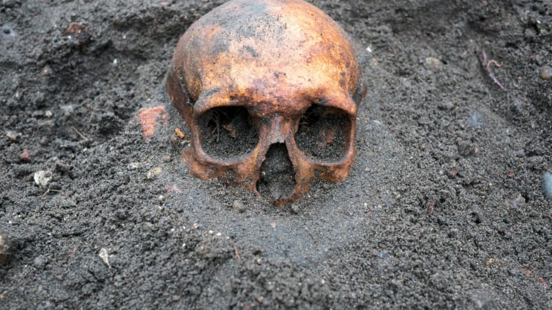 Kus lidské lebky našel pejskař v bahně na Brněnsku. Jako by ji někdo rozřezal bruskou, říká