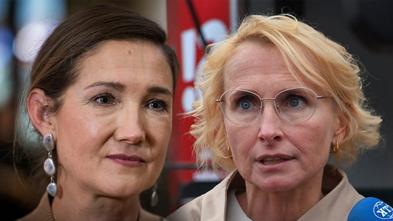 Zelení, Konečná nebo nové tváře? Levice se může obrodit, věří politolog. Popsal její šance