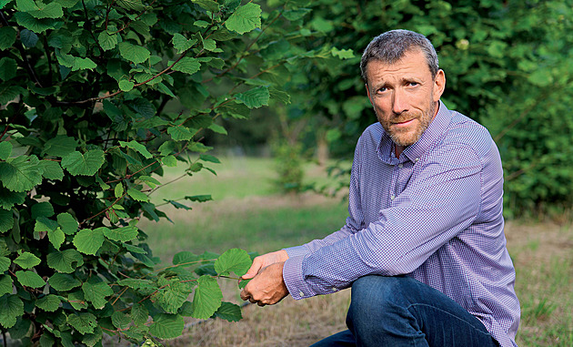 Lanýže rostou i v Praze. Máme světový unikát, tvrdí pěstitel Beneš