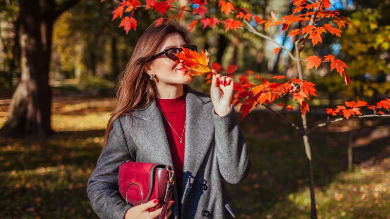 RADAR: Česko čeká poslední záblesk léta. Oteplí se až k 20 stupňům, pak se prudce ochladí