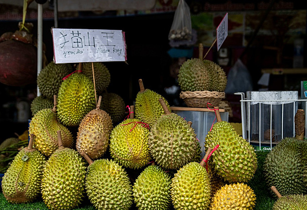 Durianová diplomacie. Číňané šílí po smradlavém ovoci a Peking utužuje vztahy
