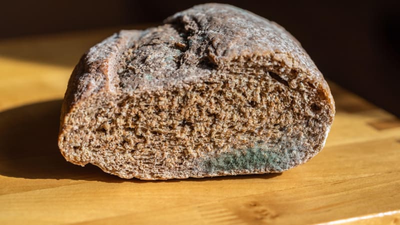 Dilema s plesnivým jídlem: Vyhodit, či jen odkrojit? Odborníci mají jasno, jde o zdraví