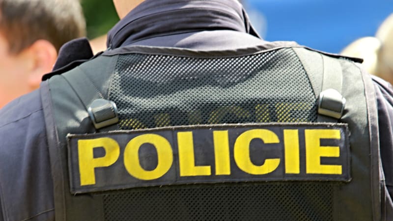 Policie přivezla do Česka uprchlíka, který jí unikal 30 let. Padělatel marek se skrýval v USA
