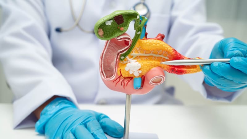 Průlom v léčbě superagresivních nádorů? Vědci testovali na myších novinku, rakovina zmizela