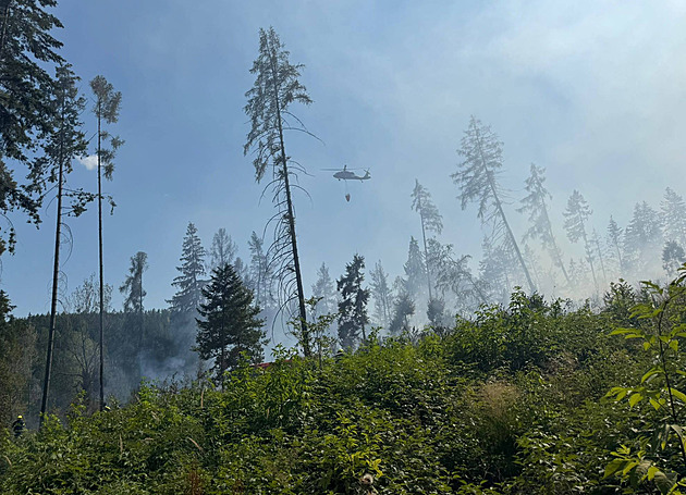 Požár lesa v podhůří Šumavy hasil i vrtulník, plameny už se nešíří